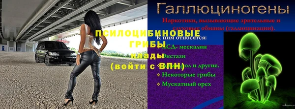 spice Козловка