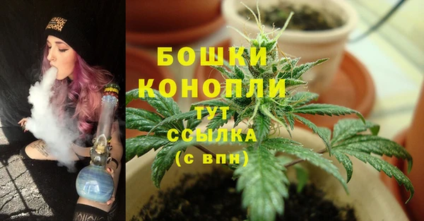 МДМА Козельск