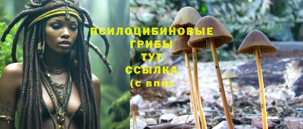 МДМА Козельск