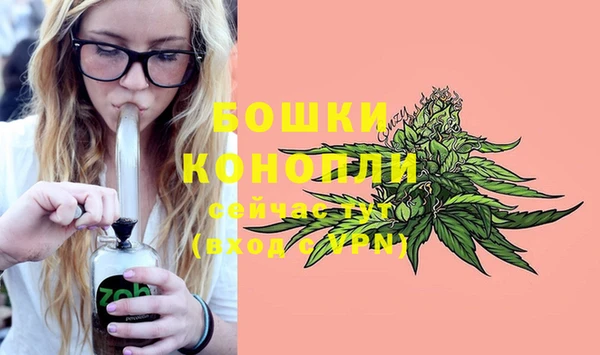 spice Козловка