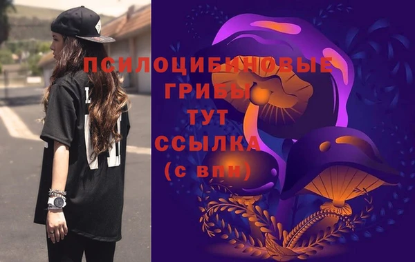 МДМА Козельск